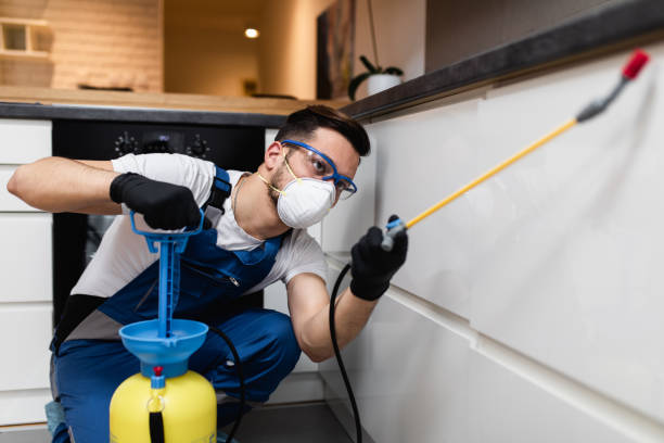 Best Local Pest Control Services  in Halstead, KS