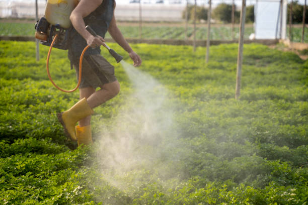 Best Commercial Pest Control Services  in Halstead, KS