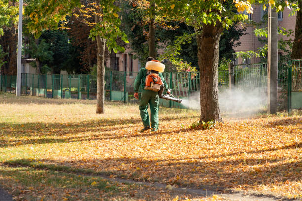 Best Rat Extermination Near Me  in Halstead, KS