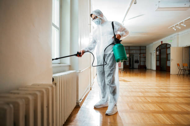 Best Residential Pest Control  in Halstead, KS