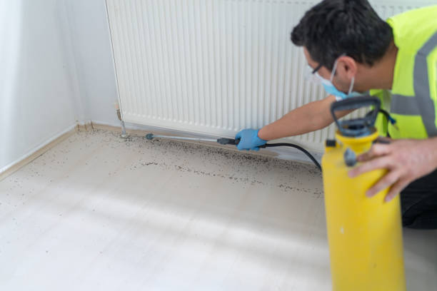 Best Best Pest Control Companies  in Halstead, KS