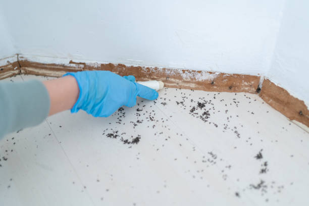 Best Wildlife Control Services  in Halstead, KS